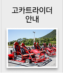강촌산악오토바이  고카트
